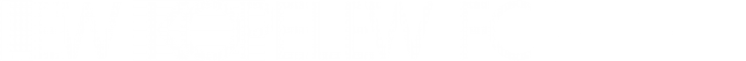 Sekundärlogo Lew Kopelew Forum in weiß